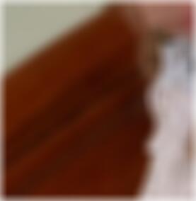 Haltern am See Sexpartner finden RosaeDYX