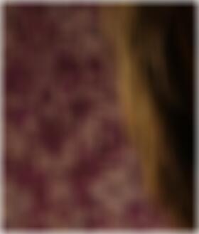 private Sexkontakte Itzehoe Petra2993