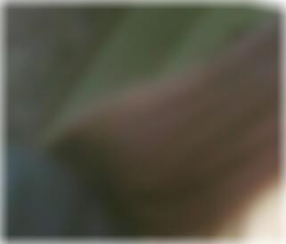 Sex Kontakte Gummersbach Cammie