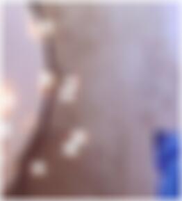Sexpartner finden Hanau Oleviaxd