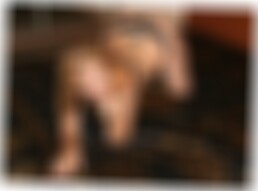 Fickdate in Chemnitz LouisaaQ