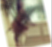 private Sexkontakte Itzehoe Amira
